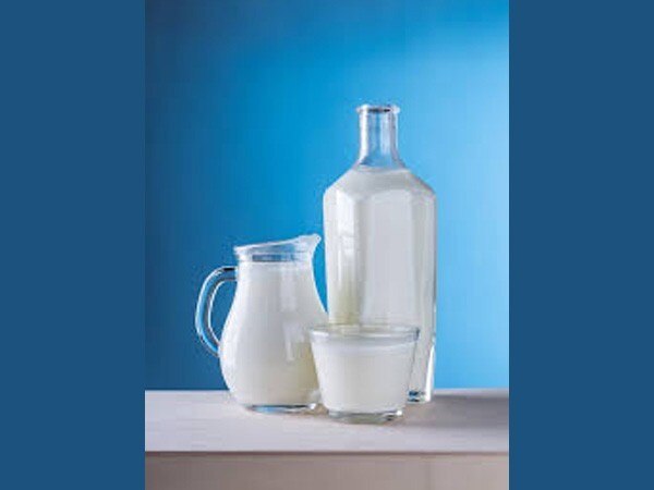 Dairy products intake ensures higher bone strength among men Dairy products intake ensures higher bone strength among men