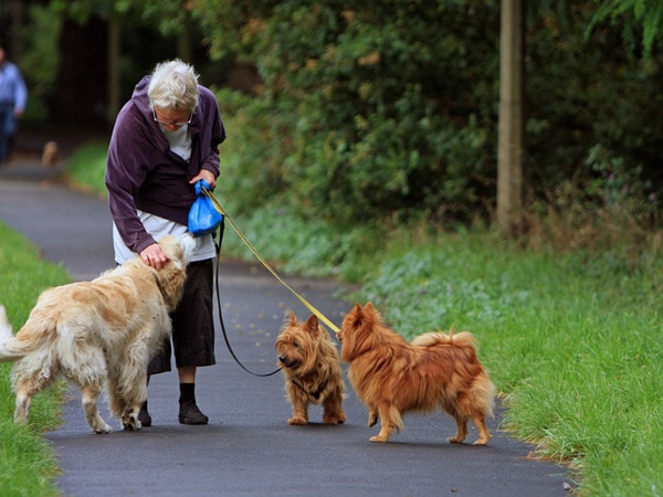 Turns out, it's happiness, not health that motivates dog walkers Turns out, it's happiness, not health that motivates dog walkers