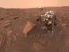 Mars dust storm turns global