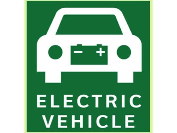Electric vehicle firms welcome Auto Expo 2018 response