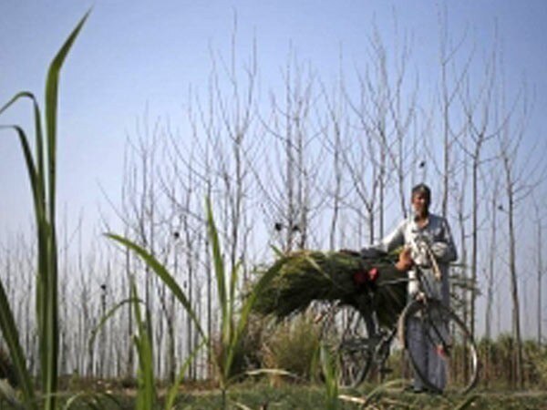 Debt-ridden farmer begs on Mumbai trains to repay loan Debt-ridden farmer begs on Mumbai trains to repay loan