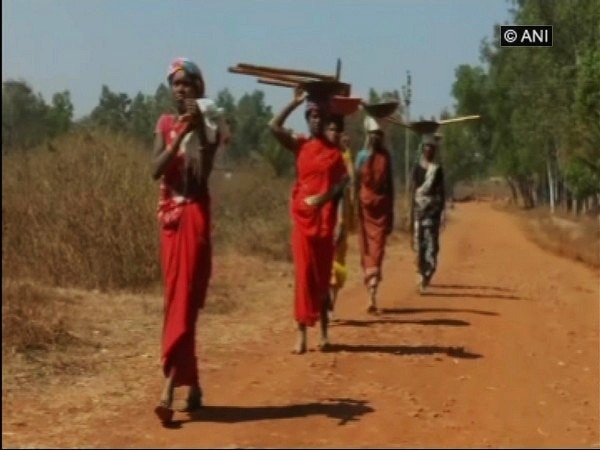 Tribal village in Chhattisgarh takes up community farming Tribal village in Chhattisgarh takes up community farming