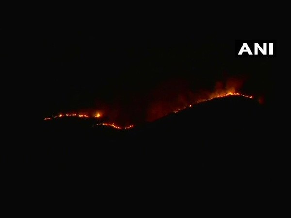 Temporary ban on trekking post Kurangani forest fire  Temporary ban on trekking post Kurangani forest fire