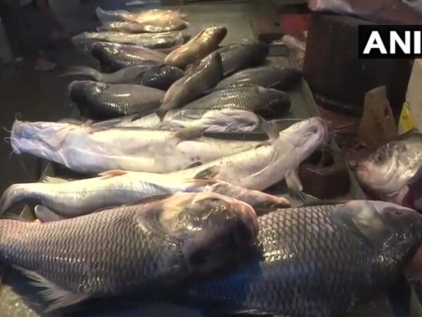 Formalin found in fish in Assam market Formalin found in fish in Assam market