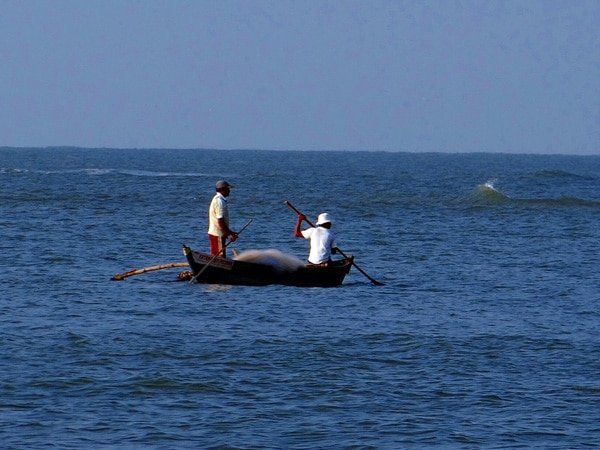 Sri Lankan Navy apprehends four Indian fishermen Sri Lankan Navy apprehends four Indian fishermen