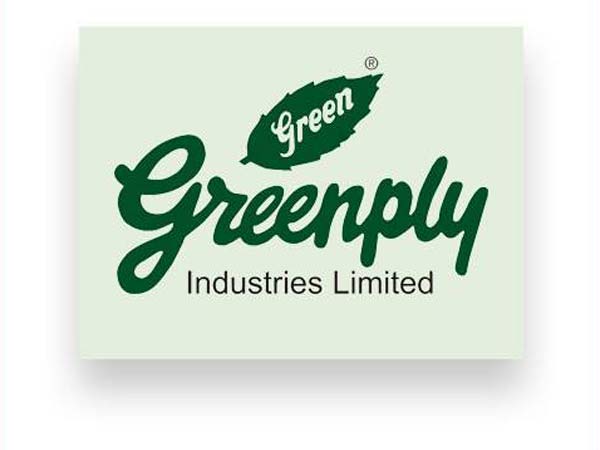Greenply and Laminated Green Ply Plywood, 19mm at Rs 105/square feet in  Ankleshwar | ID: 19374275288
