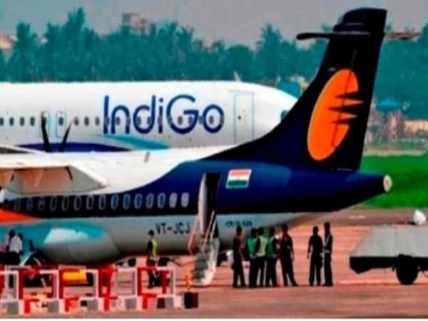 IndiGo apologises after airline staff engages in brawl with passenger IndiGo apologises after airline staff engages in brawl with passenger