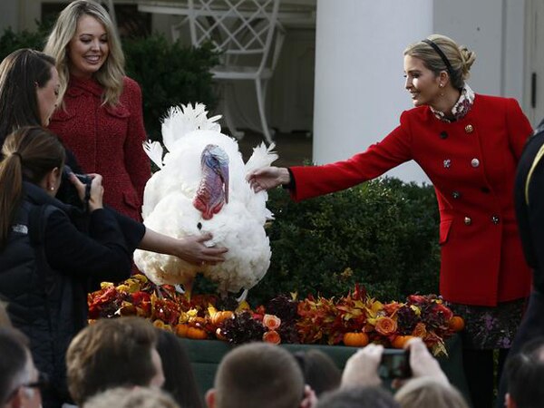 National Thanksgiving Turkey: Ivanka's fashion steals the show National Thanksgiving Turkey: Ivanka's fashion steals the show