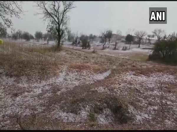 Maharashtra: Rain, hailstorm lash Jalna Maharashtra: Rain, hailstorm lash Jalna