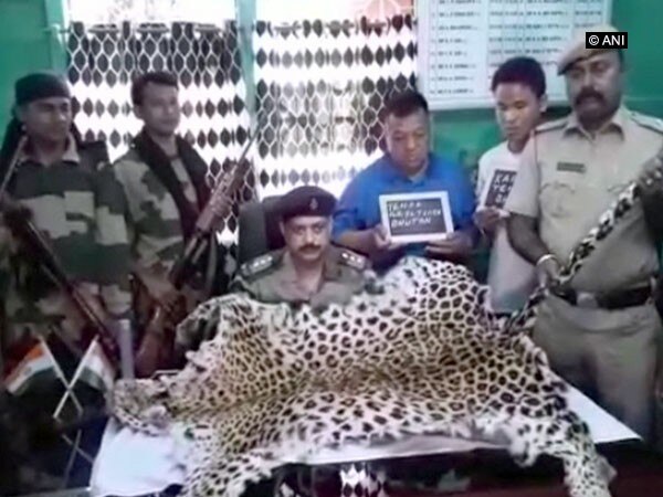 Forest officials seize 8 ft leopard skin from 2 Bhutan nationals