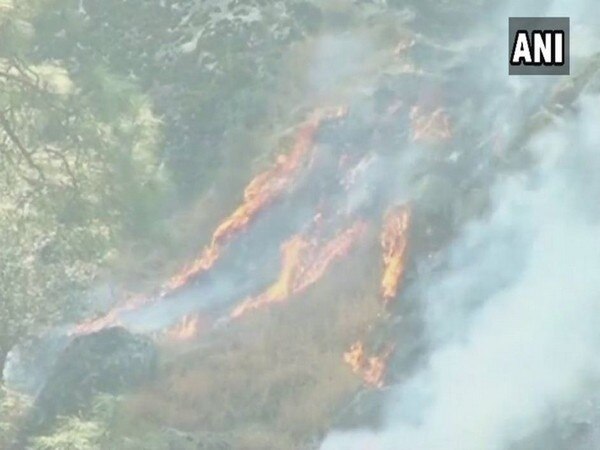 J-K: Massive fire destroys green belt in Doda district J-K: Massive fire destroys green belt in Doda district