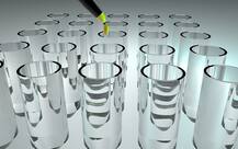 This protein may be new weapon against cancer, birth defects