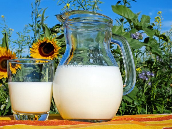 A glass of cow milk can do wonders! A glass of cow milk can do wonders!