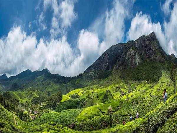 This monsoon head to Munnar to witness 'Neelakurinji flower' This monsoon head to Munnar to witness 'Neelakurinji flower'