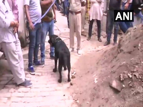 Muzaffarpur rapes: Dog squad roped in for probe Muzaffarpur rapes: Dog squad roped in for probe