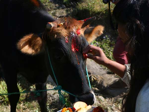 Nepal worships 