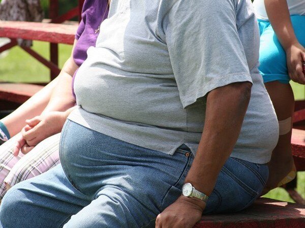 Fasting after every two days may help fight obesity Fasting after every two days may help fight obesity