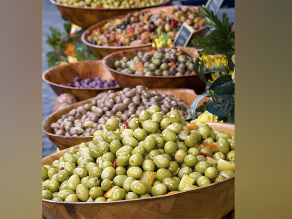 Experience the Greece countryside with Olive harvesting season Experience the Greece countryside with Olive harvesting season