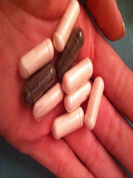 Short-term probiotics can help shed those extra kilos