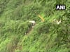 25 bodies recovered from Raigad bus accident site