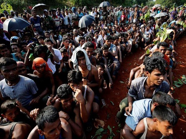 Probe Myanmar military leaders over Rohingya issue: UN Probe Myanmar military leaders over Rohingya issue: UN