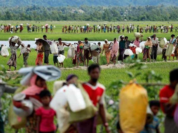 B'desh Opposition party cast doubts on Rohingya repatriation pact B'desh Opposition party cast doubts on Rohingya repatriation pact