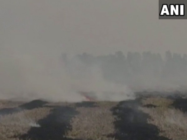 Stubble-burning: A headache for government, helplessness for farmers Stubble-burning: A headache for government, helplessness for farmers