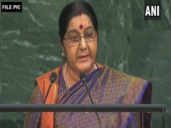 Sushma Swaraj expresses condolences over Nepal plane crash Sushma Swaraj expresses condolences over Nepal plane crash