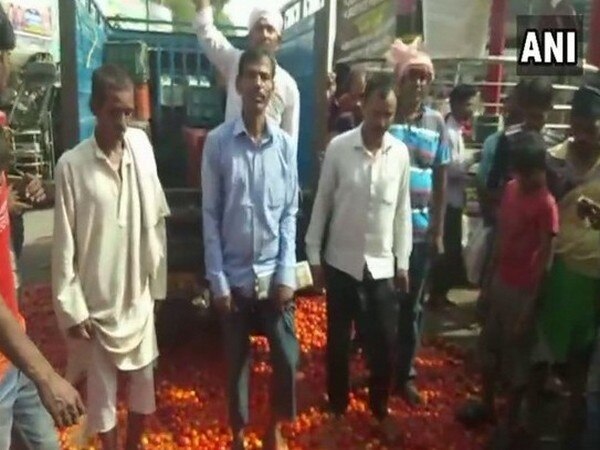 Hit by poor prices, angry farmers destroy tomatoes in Bihar Hit by poor prices, angry farmers destroy tomatoes in Bihar