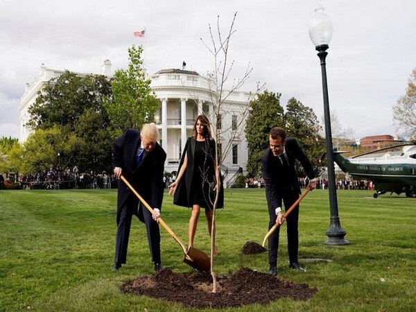 Trump, Macron plant tree at White House Trump, Macron plant tree at White House