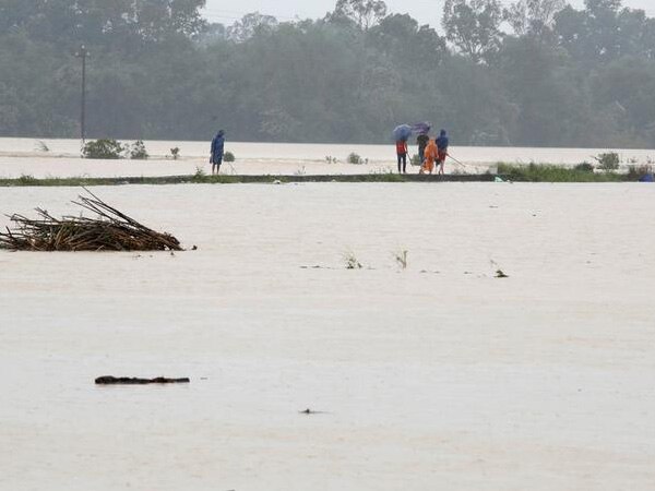 Typhoon Damrey kills 47 in Vietnam Typhoon Damrey kills 47 in Vietnam