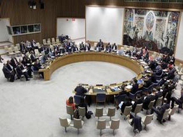 UNSC urges Taliban to consider Afghan's peace process UNSC urges Taliban to consider Afghan's peace process