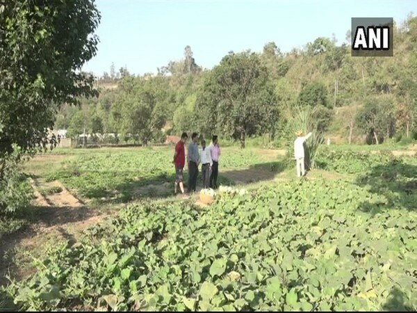 Udhampur farmers earning big bucks after PM's talk on organic farming Udhampur farmers earning big bucks after PM's talk on organic farming