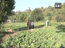 Udhampur farmers earning big bucks after PM\'s talk on organic farming