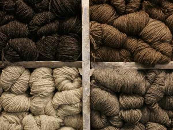 Merino wool offers natural relief for eczema sufferers, suggests study Merino wool offers natural relief for eczema sufferers, suggests study
