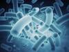 Genetic change in gut bacteria alters host metabolism