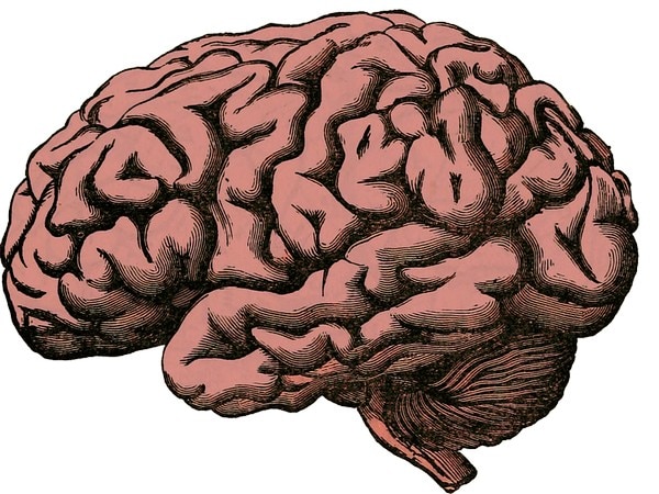 Attention deficit disorder associated with impaired brain coordination Attention deficit disorder associated with impaired brain coordination