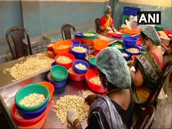 Kerala: Crisis-ridden cashew industry leaves Lakhs of workers jobless Kerala: Crisis-ridden cashew industry leaves Lakhs of workers jobless