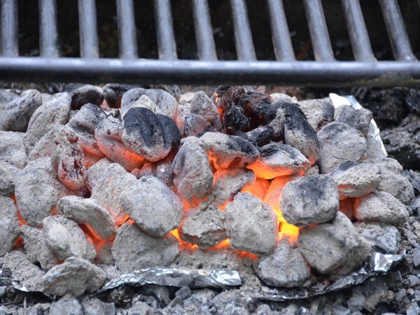 Using coal, wood as fuel for cooking may cause cardiovascular death Using coal, wood as fuel for cooking may cause cardiovascular death