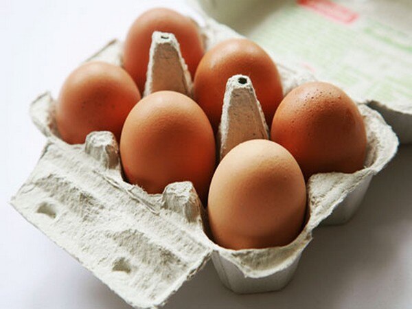 Contamination of eggs in India and egg standards Contamination of eggs in India and egg standards