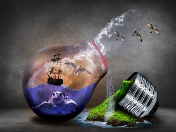World Nature Conservation Day - Time to do your bit World Nature Conservation Day - Time to do your bit