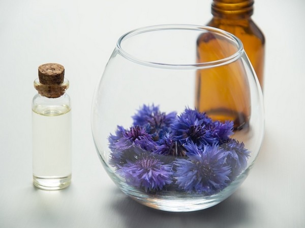 Regular exposure to lavender, tea tree oil could disrupt hormones Regular exposure to lavender, tea tree oil could disrupt hormones