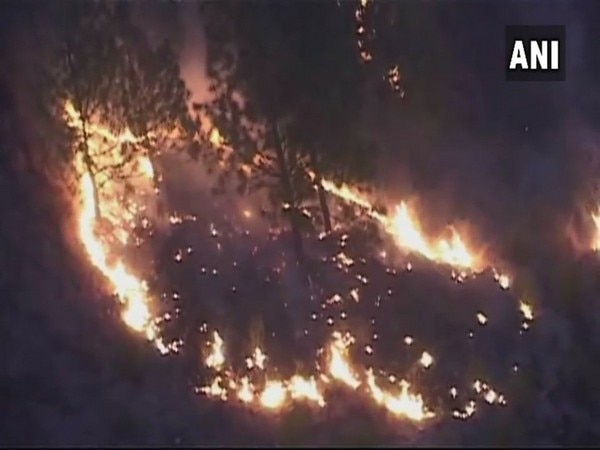 Fire breaks out in Rampur forest Fire breaks out in Rampur forest