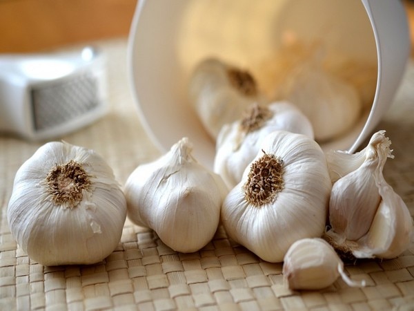 Eat garlic to fight chronic infections Eat garlic to fight chronic infections