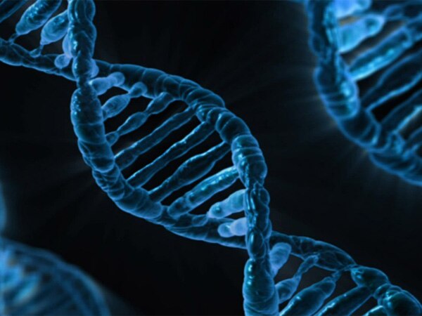 Researchers discover genes to prolong human life Researchers discover genes to prolong human life