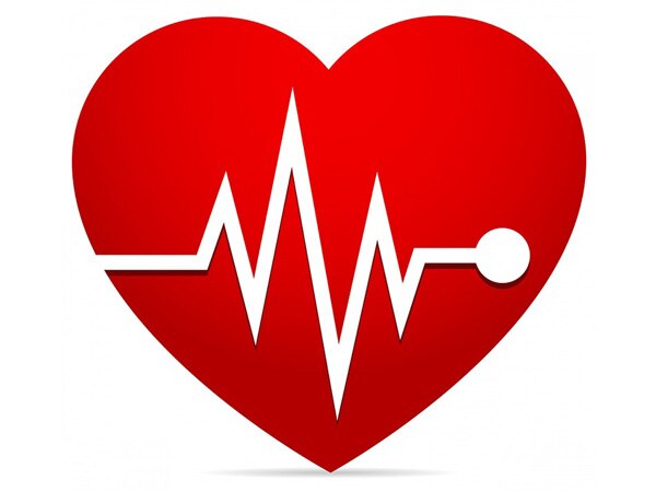 Delhi at highest risk of heart disease due to high fat consumption Delhi at highest risk of heart disease due to high fat consumption