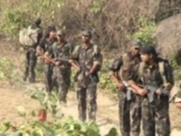 Five women among seven Naxals killed in Maharashtra Five women among seven Naxals killed in Maharashtra