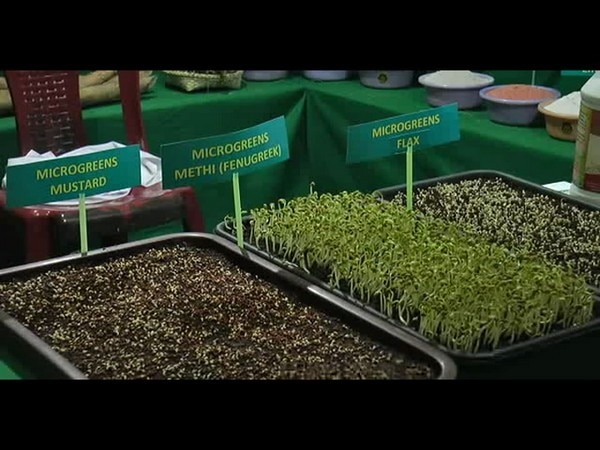 Nagaland's indigenous food products foraying into global market