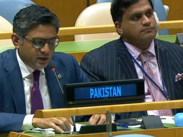 Pakistan again raises Kashmir issue at U.N., calls New Delhi slamming Islamabad 'unfortunate'  Pakistan again raises Kashmir issue at U.N., calls New Delhi slamming Islamabad 'unfortunate'