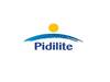Pidilite Industries reports 23% growth in consolidated comparable net sales
